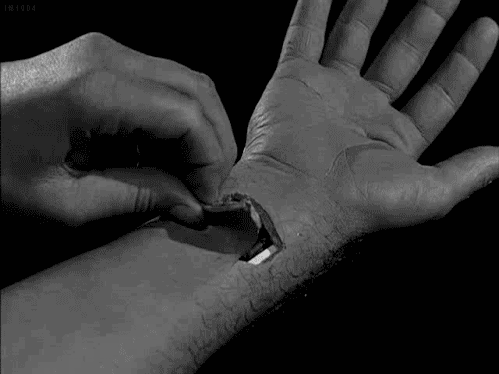 The True Story of How I Joined Robots From the Future