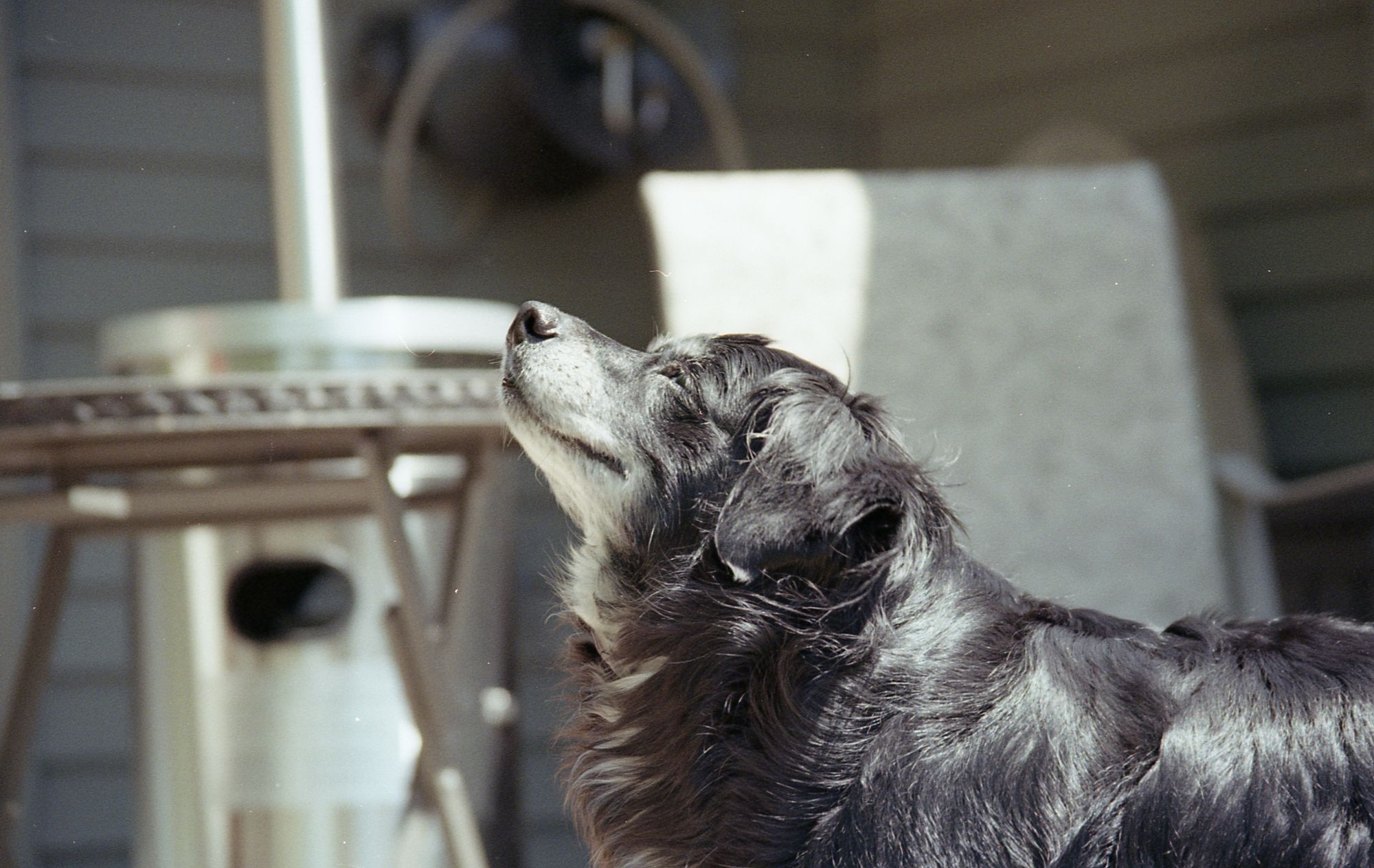 Long Overdue Album Update!